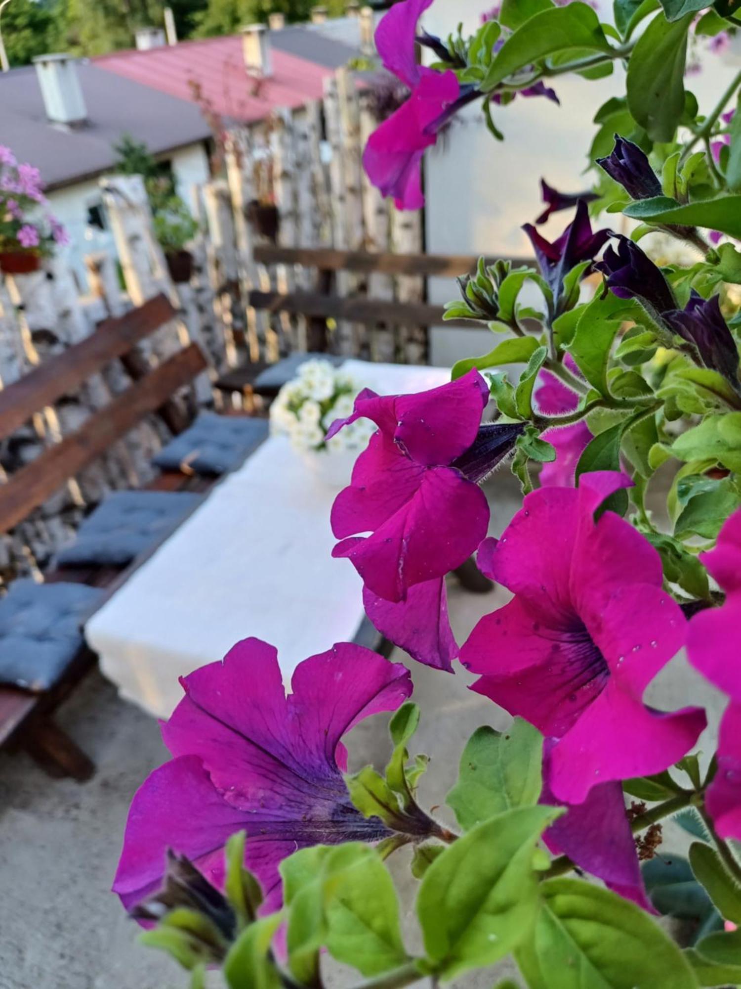 Apartment Relax Plužine Zewnętrze zdjęcie