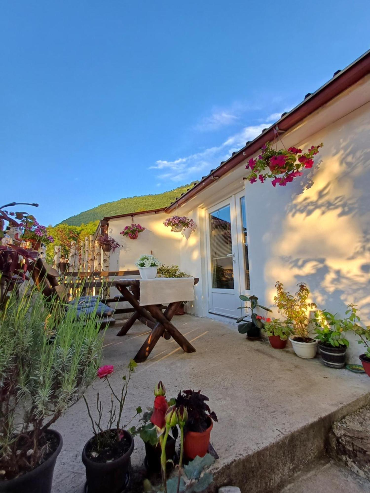 Apartment Relax Plužine Zewnętrze zdjęcie